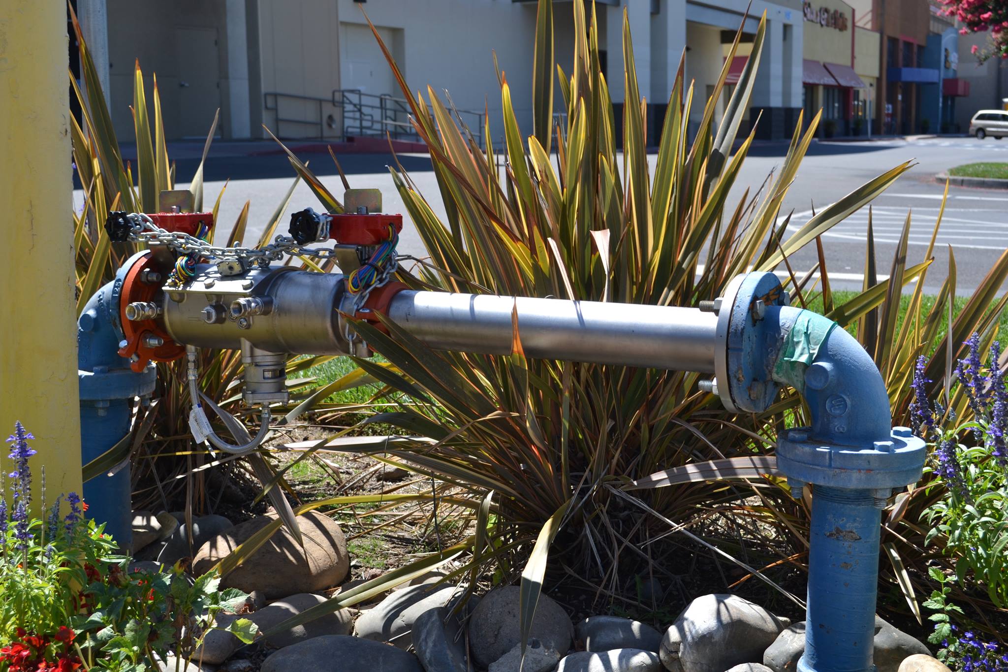 What Are the Most Common Backflow Contaminants? | Backflow Direct